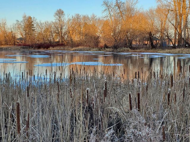 1304 W Medicine Lake Drive 119, Plymouth, MN 55441