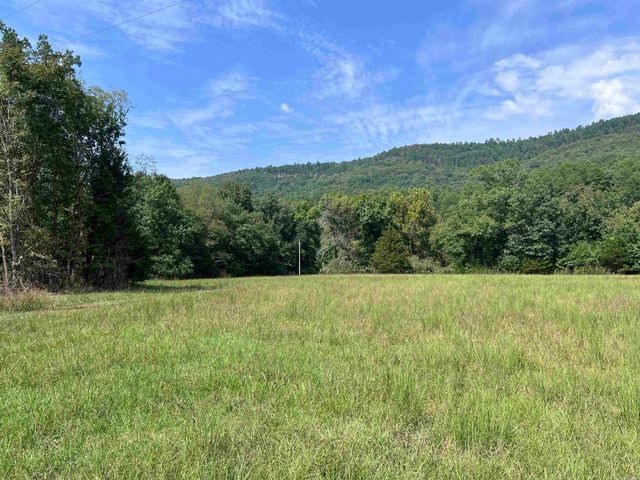 480 Polk Road 602 Road, Mena, AR 71953