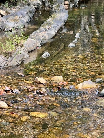 480 Polk Road 602 Road, Mena, AR 71953