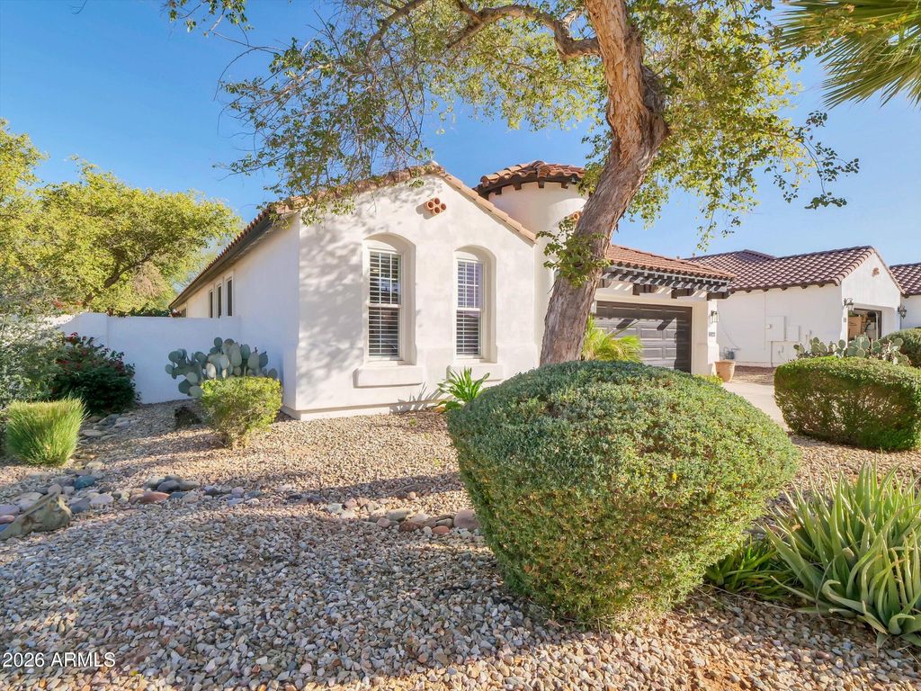 2264 E Desert Broom Place, Chandler, AZ 85286 — photo 3
