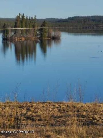 L11 Tolsona Lake Road, Glennallen, AK 99588