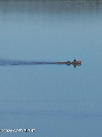 L11 Tolsona Lake Road, Glennallen, AK 99588