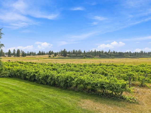 12926 N Wood Rd, Reardan, WA 99029