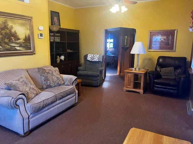 425 E Dakota Street, Spring Valley, IL 61362