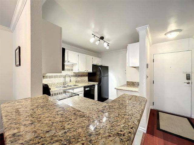 1100 DELANEY AVENUE F306, Orlando, FL 32806