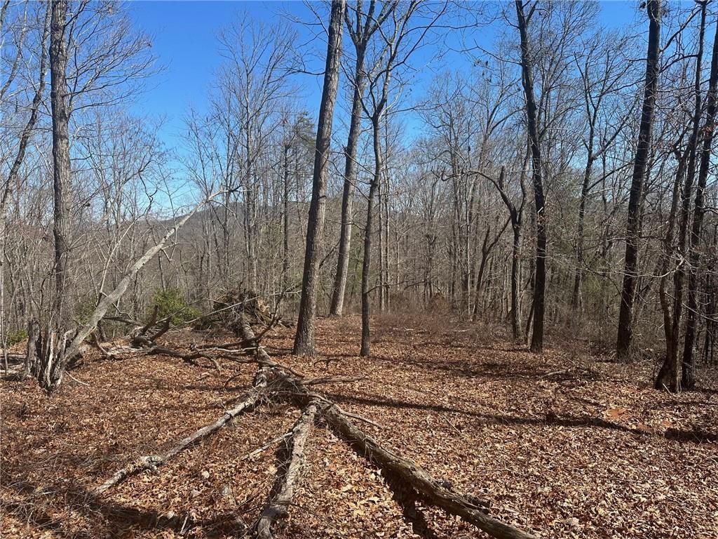 6.2 Mincey Acres Drive, Murrayville, GA 30564