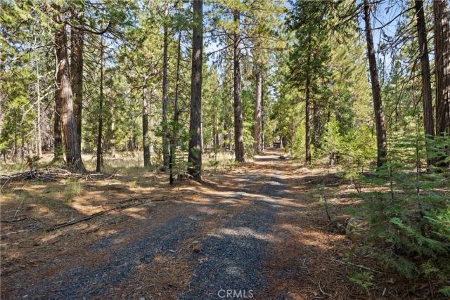 8002 Humboldt Road, Butte Meadows, CA 95942