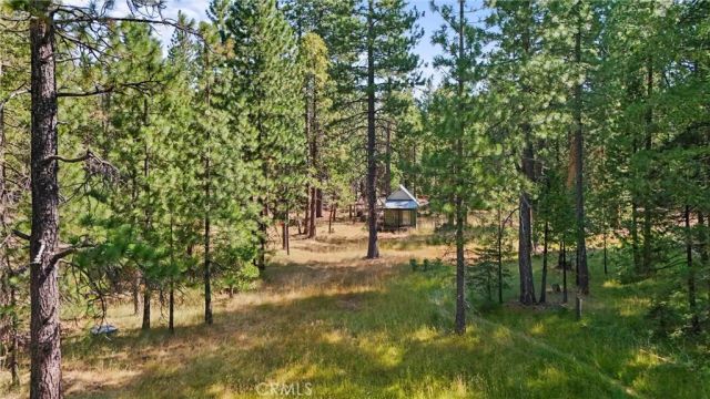 8002 Humboldt Road, Butte Meadows, CA 95942