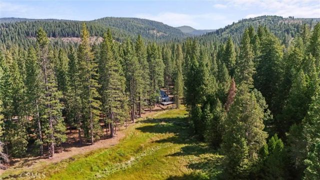 8002 Humboldt Road, Butte Meadows, CA 95942