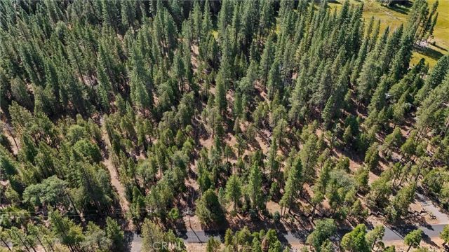 8002 Humboldt Road, Butte Meadows, CA 95942