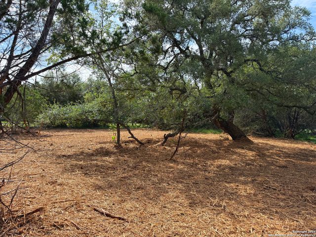 5950 Circle Oak, Bulverde, TX 78163
