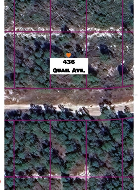 436 QUAIL AVENUE, Sebring, FL 33870