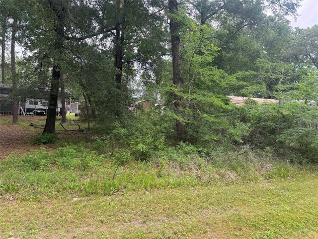 125 Trinidad Lane, Point Blank, TX 77364