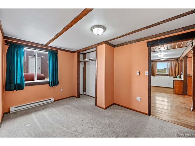 92 Carpenter Trl, Cotopaxi, CO 81223