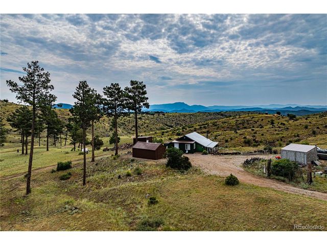 92 Carpenter Trl, Cotopaxi, CO 81223