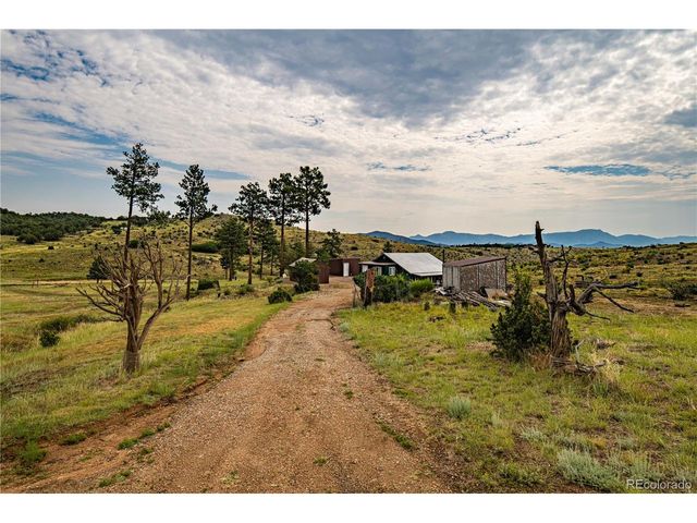 92 Carpenter Trl, Cotopaxi, CO 81223