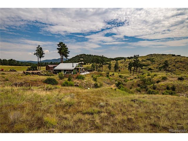 92 Carpenter Trl, Cotopaxi, CO 81223
