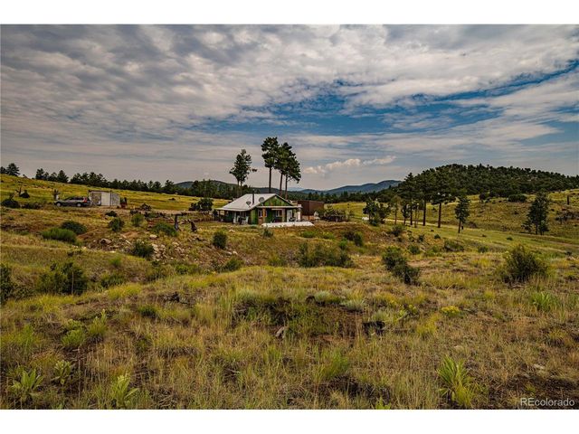 92 Carpenter Trl, Cotopaxi, CO 81223