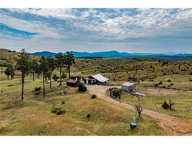 92 Carpenter Trl, Cotopaxi, CO 81223