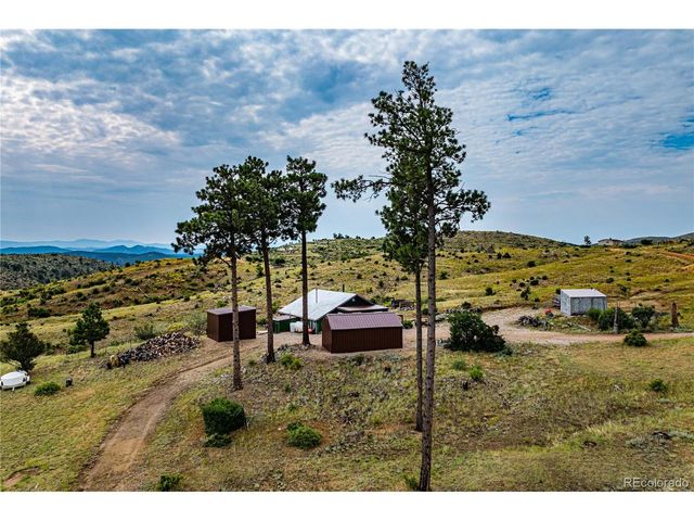 92 Carpenter Trl, Cotopaxi, CO 81223
