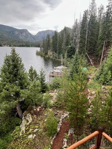 1423 Grand County Road 697, Grand Lake, CO 80447
