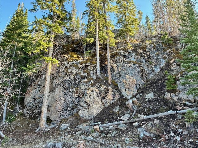 1423 Grand County Road 697, Grand Lake, CO 80447