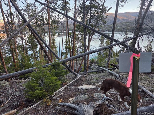 1423 Grand County Road 697, Grand Lake, CO 80447