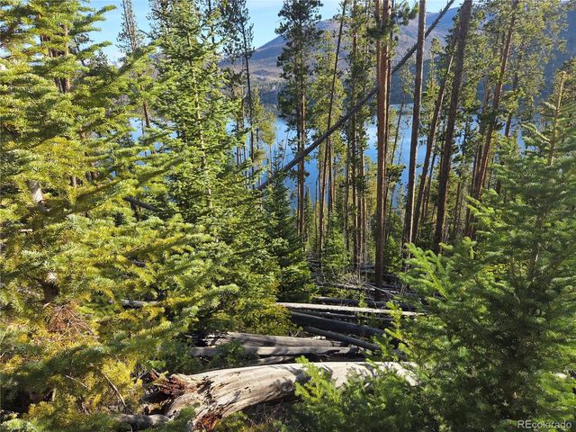 1423 Grand County Road 697, Grand Lake, CO 80447