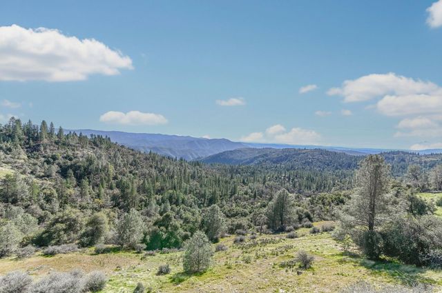 1218 Laurel Ln, Murphys, CA 95247