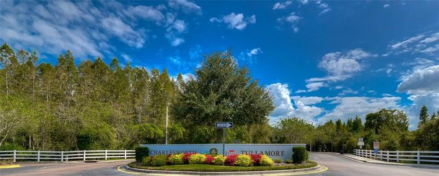 1019 TULLAMORE DRIVE, Wesley Chapel, FL 33543