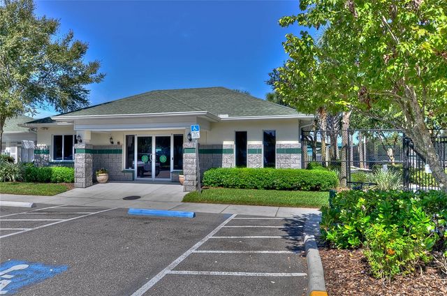 1019 TULLAMORE DRIVE, Wesley Chapel, FL 33543