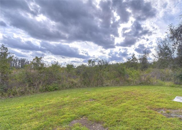 1019 TULLAMORE DRIVE, Wesley Chapel, FL 33543