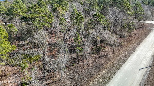 16070 Sheldrake Loop, Brooksville, FL 34614