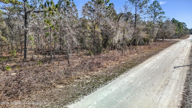 16070 Sheldrake Loop, Brooksville, FL 34614