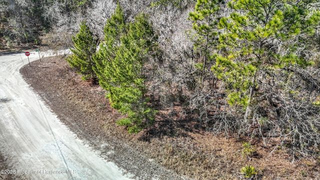 16070 Sheldrake Loop, Brooksville, FL 34614