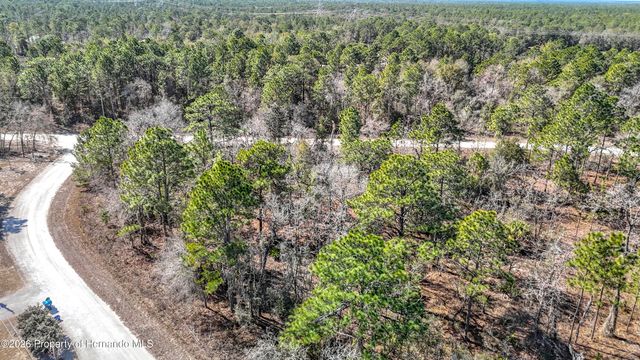 16070 Sheldrake Loop, Brooksville, FL 34614