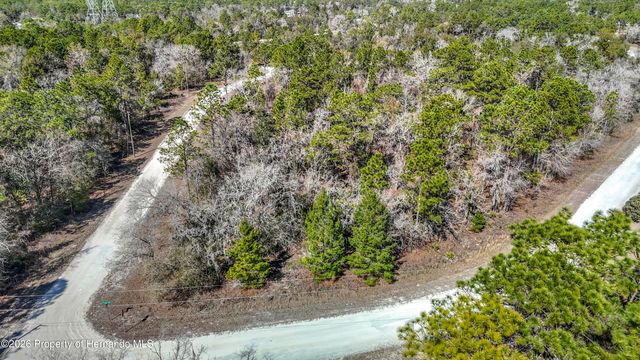 16070 Sheldrake Loop, Brooksville, FL 34614