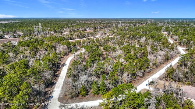 16070 Sheldrake Loop, Brooksville, FL 34614