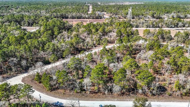 16070 Sheldrake Loop, Brooksville, FL 34614