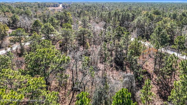 16070 Sheldrake Loop, Brooksville, FL 34614