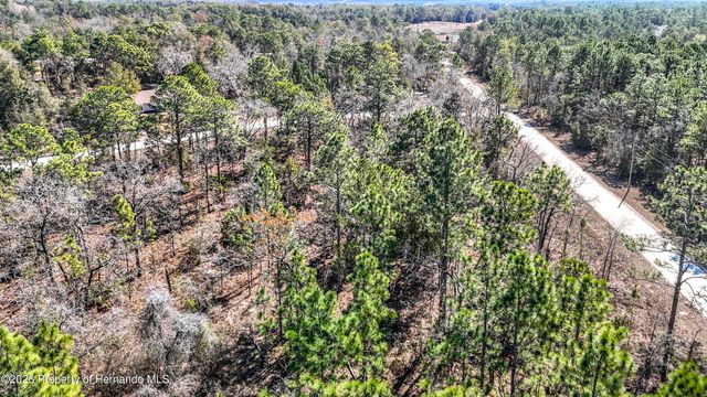 16070 Sheldrake Loop, Brooksville, FL 34614