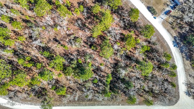 16070 Sheldrake Loop, Brooksville, FL 34614