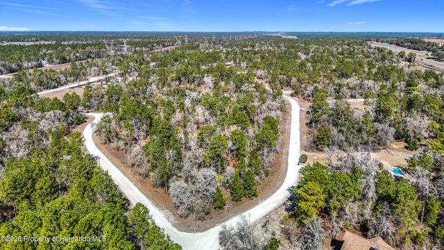 16070 Sheldrake Loop, Brooksville, FL 34614