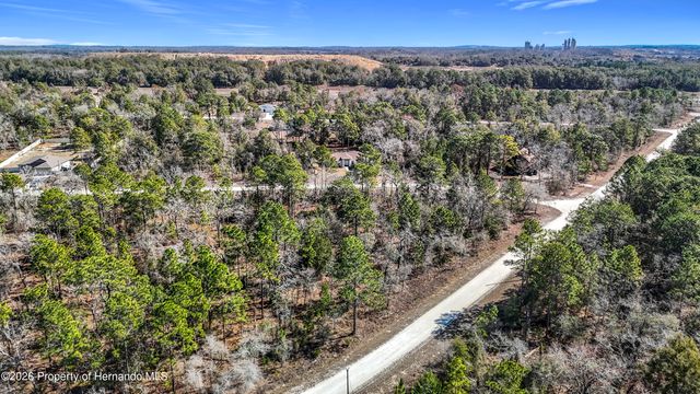 16070 Sheldrake Loop, Brooksville, FL 34614