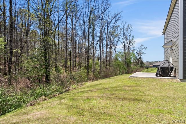 3509 Magnolia Hills, Northport, AL 35473