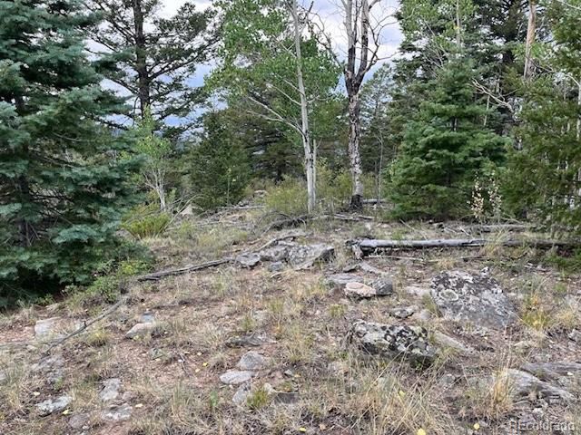 6184 Ryland Rd, San Luis, CO 81152