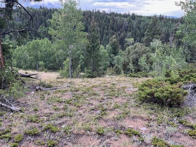 6184 Ryland Rd, San Luis, CO 81152