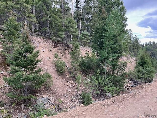 6184 Ryland Rd, San Luis, CO 81152