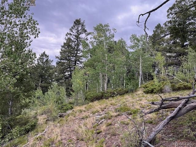 6184 Ryland Rd, San Luis, CO 81152