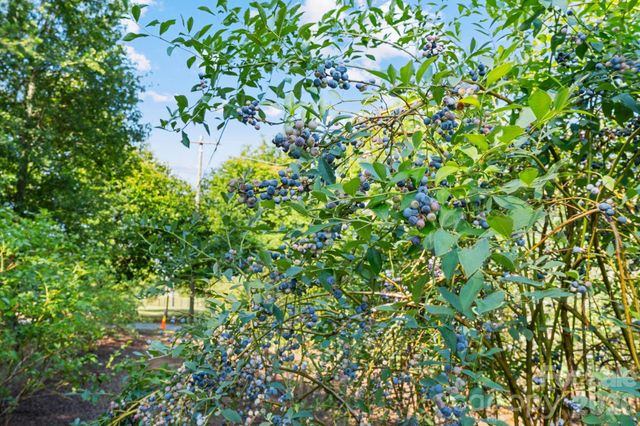 1483 Hopewell Church Road, Catawba, NC 28609